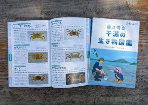 「錦江湾奥干潟の生き物図鑑」発行のお知らせ