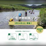 河川の生き物観察ツアーのご案内