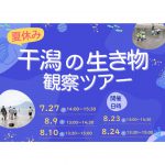 夏休み！干潟の生き物観察ツアー２０２５