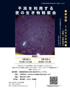 干潟を利用する夜の生き物観察会　参加者募集