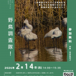 野鳥調査隊！参加者募集！