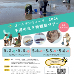 ゴールデンウィーク２０２６　干潟の生き物観察ツアー　参加募集！！