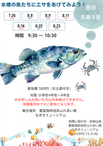 夏休み特別イベント「水槽の魚たちにエサをあげてみよう！」